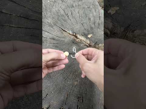 Camping Tips 😱 💯#fishing #camping #viral #shorts #creative