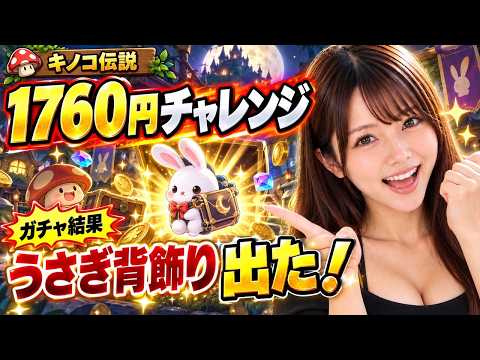 【キノコ伝説】恒例の1760円チャレンジ!「月を目指して」ガチャでうさぎの背飾りを狙ってみた