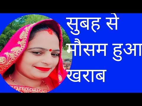 बारिश की वजह खेतों में धान खराब हो गए हैं#युटुब#अपलोड#वीडियो#🙏🌧️🌧️⛈️🌨️☁️