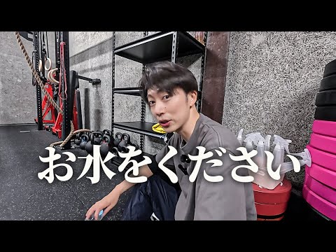 金田がクロスフィットで“本当の限界”を迎えました【はんにゃ金田】