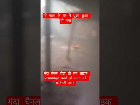 गौ माता के घर में धुआ धुआ हो गया #13million #cow #farming #100millon #gaumata