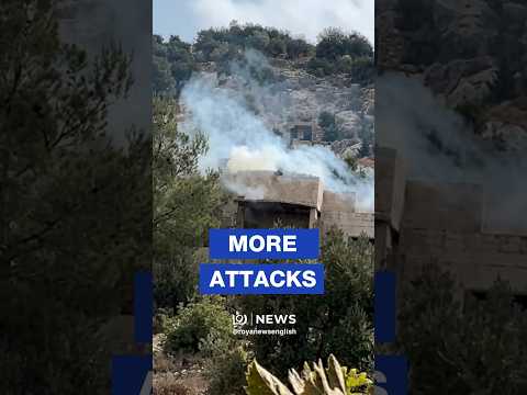 ‘Israeli’ forces fire tear gas at olive pickers in Surif