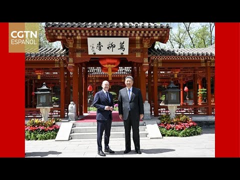 Xi Jinping se reúne con Olaf Scholz en Beijing