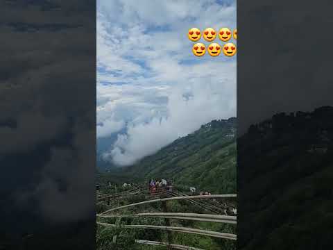 Darjleeling Tea garden #viral #shorts #westbengal