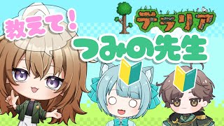 【Terraria】　初心者テラリアーが熟練テラリアーに教えをこう配信　First time trying Terraria!　#vtube