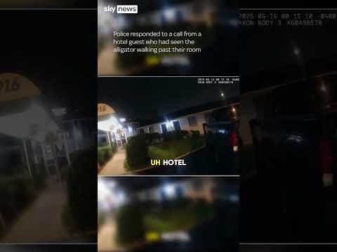 Alligator and owners kicked out of a hotel in Virginia, US