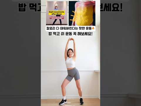 저녁 먹고 딱 5분! 요즘 핫한 묵은뱃살운동  #workout #dance #dancefitness #복근운동 #흥둥이