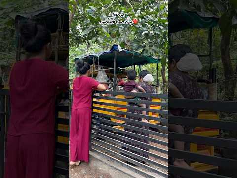 🥺ഞാനും അവനും Side ആയി. ..😒@Nithyakalyani-936 #trending #views