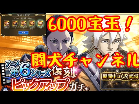 キングダム乱(一か八かの6000宝玉！結局はプラスの動き！興味ある方は試してみて！)闘犬チャンネル
