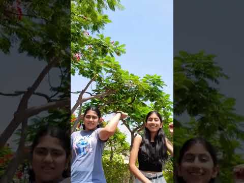 #100ksubscribers #dance #shorts #maisha1013 #subscribe