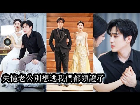明明是家族婚姻卻被他寵在心尖七年，意外失憶後他將她忘得乾乾淨淨把柔情當陌路。她心死藏起孕肚獨自遠走，他幡然醒悟發瘋般滿城追妻，誓要搶回那個被他遺落的唯一！