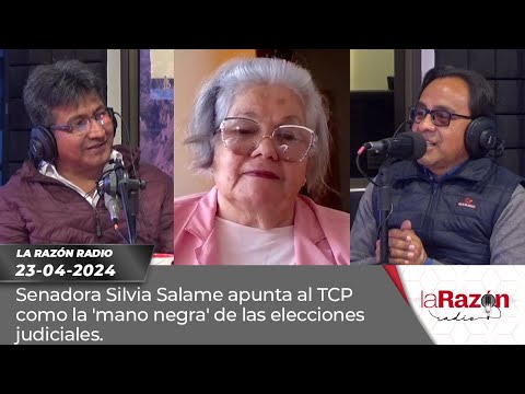 Senadora Silvia Salame apunta al TCP como la 'mano negra' de las elecciones judiciales.