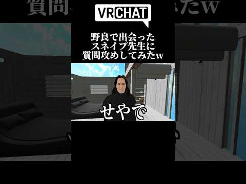 野良で出会ったスネイプ先生が親日家だった【#shors 】【#vrchat 】【#ゲーム実況 】