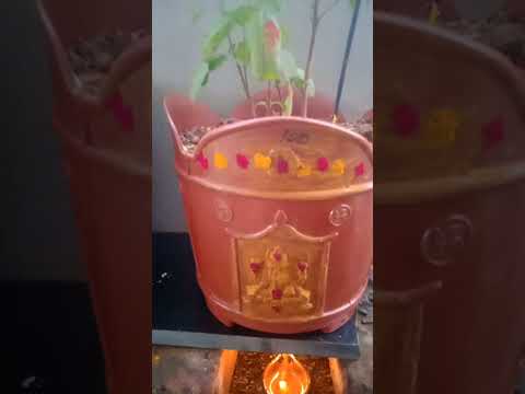 #తులసి చెట్టు #ytshorts #youtubeshorts Subscribe friends