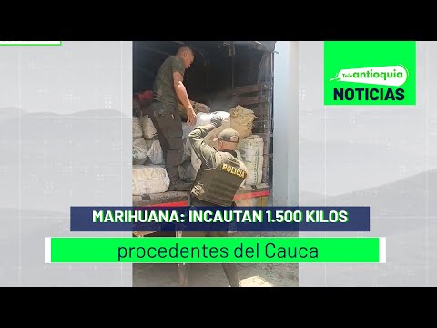 Marihuana: incautan 1.500 kilos procedentes del Cauca - Teleantioquia Noticias