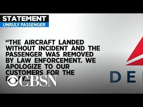 Delta flight lands safely after onboard incident