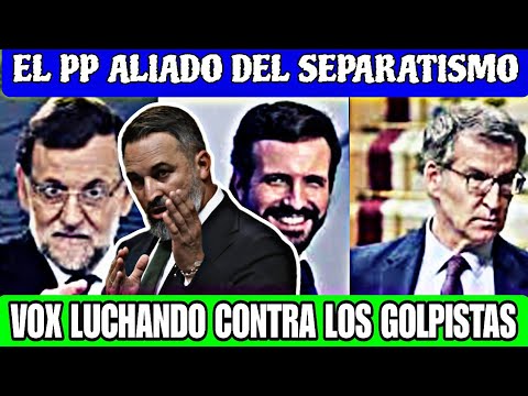 VOX , EL PARTIDO QUE  LUCHA CONTRA EL SEPARATISMO Y EL GOLPISMO, ANTE UN PP QUE NO HA HECHO NADA