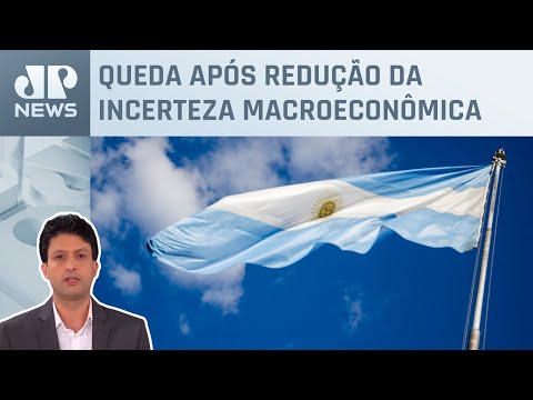 Argentina corta taxa básica de juros de 100% para 80%; Alan Ghani analisa