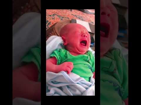 funnydogs#cute#doglover#doglife#cure#dogshorts#pet#doglife#dogshorts