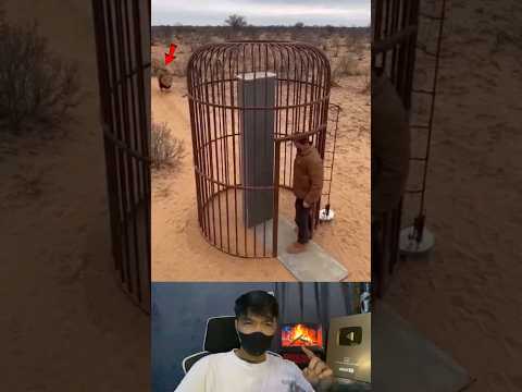 PRIA INI TERLALU JENIUS BISA BERHASIL MENGURUNG SINGA DI JEBAKAN INI😱