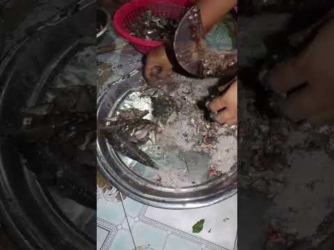 এই মাছগুলোর ঘ্রাণে আছে গ্রামের গল্প, শুনবে? ❤️❤️