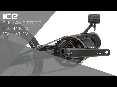 Steps Technical Overview 2021