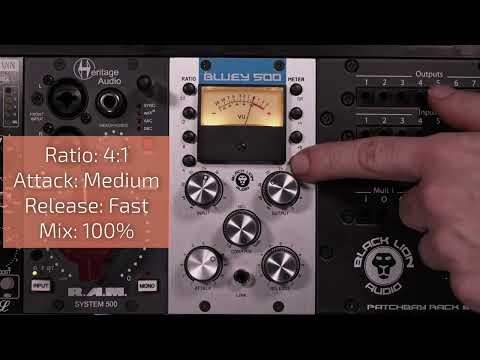 Bluey 500 Audio demo: Acoustic Guitar