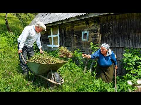 The Happiness of Growing Old Together. One Day in Life of an Elderly Couple in a Mountain Village