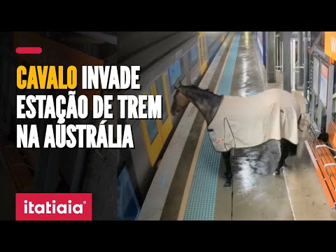 CAVALO INVADE ESTAÇÃO DE TREM NA AUSTRÁLIA E ASSUSTA PASSAGEIROS