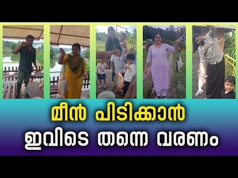മീൻ പിടിക്കാനും ആഘോഷിക്കാനും ഒരിടം | സ്വർഗ്ഗം ഫിഷിംഗ് പാർക്ക് | swargham fishing park | fish