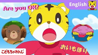 動画サムネイル