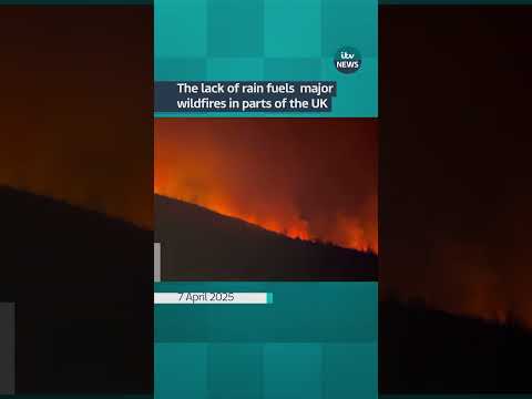 Dry weather fuels wildfires across parts of the UK #itvnews #shorts