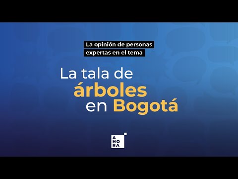 La tala de árboles en Bogotá l AHORA