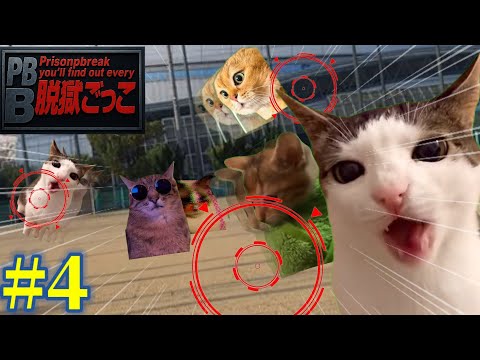 【猫ミーム】脱獄ごっこをすることになった猫たちの物語 第4話