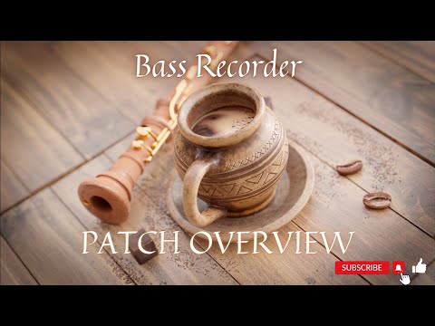 Bass Recorder Patch Overview