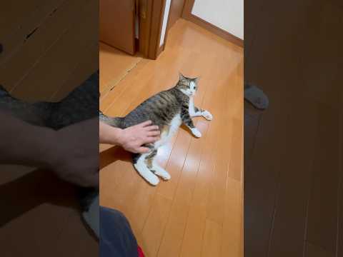 忠実に、そして豪快に