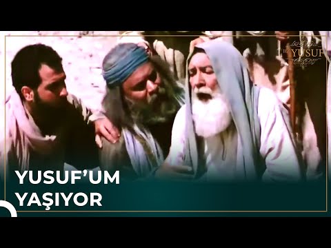 Hz. Yakup Oğlunun Yaşadığı Haberini Kaldıramadı | Hz. Yusuf