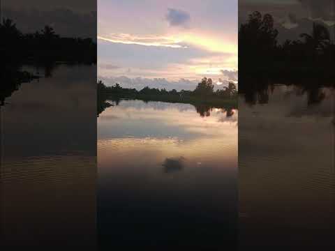 Trên đường về đi ngang bãi câu huyền thoại #fishingmientay #fishing #shorts