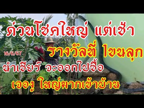 42ตรงๆพ่อนนทบุรีประกบแม่ทาง