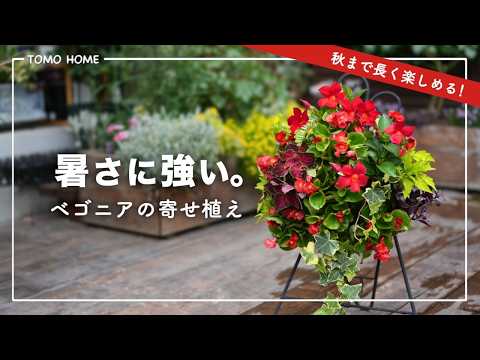 暑さに強い花だけで 赤のハンギング寄せ植え作ってみた