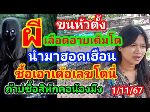 ขนหัวตั้งผีเลือดอาบเต็มโตนำมาฮ