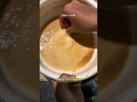 Jenang ganyong kesabaran karena harus nanam dulu hehe #masak #kebun #berkebun #garden #homegarden