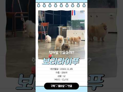 말 안듣는 고향 동생들