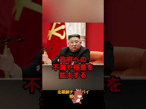 チョコパイを食べた人は全員○刑される北朝鮮