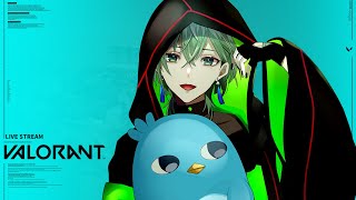 【Valorant】さ～～～～～てお茶濁しお茶濁し【卜ト】