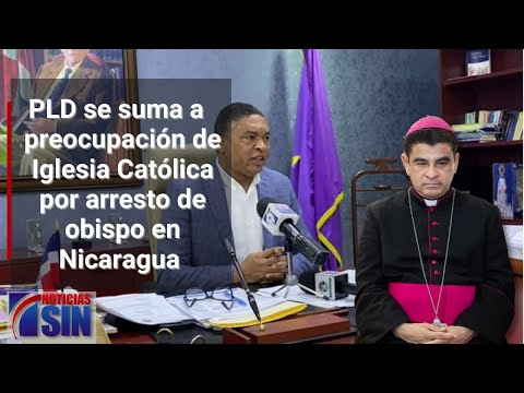 PLD solicitará al Senado respalde episcopado frente crisis Nicaragua