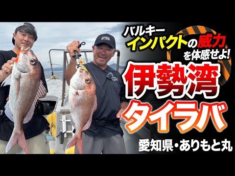 【タイラバ】伊勢湾×バルキーカーリーインパクトで爆釣！良型真鯛ラッシュが止まらない！in愛知県・ありもと丸