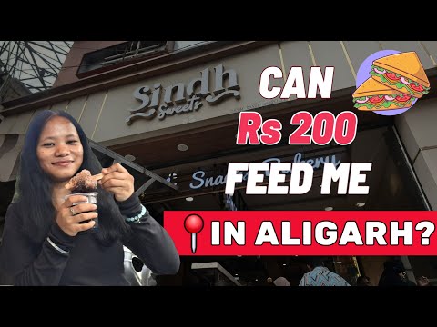 This Is What ₹200 Gets You in Aligarh | Budget vlog | @vermavlogs29 