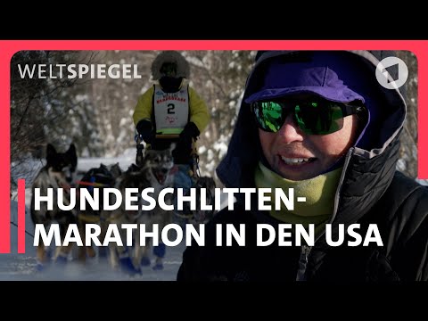 USA: Hundeschlitten-Marathon in Minnesota