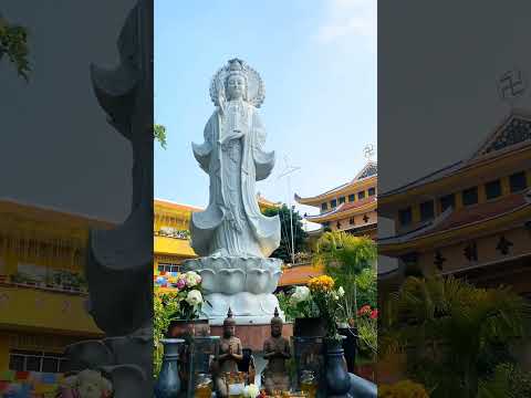 ĐỪNG ĐỂ TÂM MÌNH ĐỤC